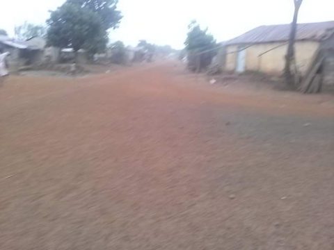 Article : Une phénomenale pluie s&rsquo;est invitée chez nous.