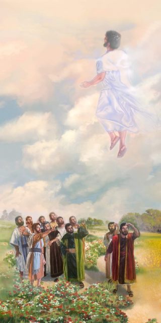 Article : Bonne Fête de l’Ascension à tous