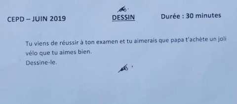 Article : CEPD 2019 au Togo, ce sujet qui serait mal compris?