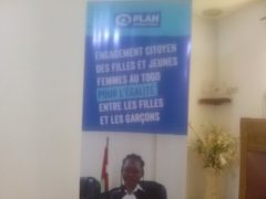 Article : Projet Girl Lead, Plan International Togo forme les leaders d’opinion à Sotouboua