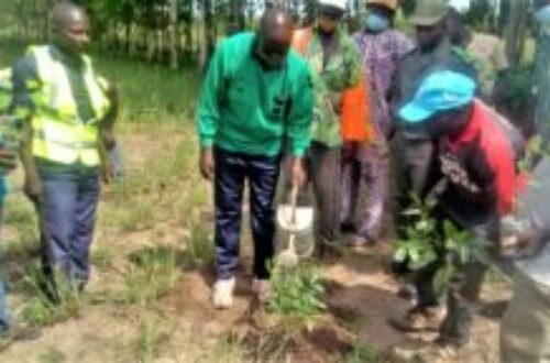 Article : Journée de l’arbre au Togo : l’association VHEDA s’est engagée à Atanko (Sessaro)