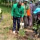 Article : Journée de l’arbre au Togo : l’association VHEDA s’est engagée à Atanko (Sessaro)