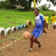 Article : Commune de Sotouboua 1: Tournoi de Football « Vivre ensemble, une nécessité »