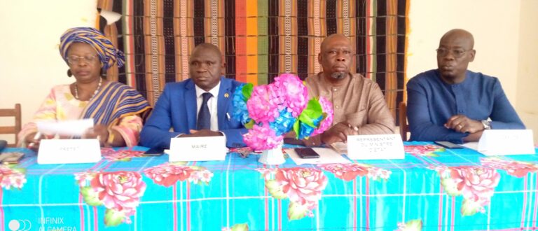 Article : Journée communale au Togo : bilan à mi-parcours de la mairie de Sotouboua 1